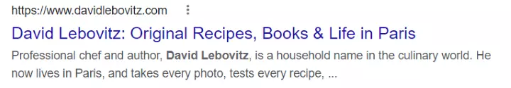 david lebovitz personal blog description example